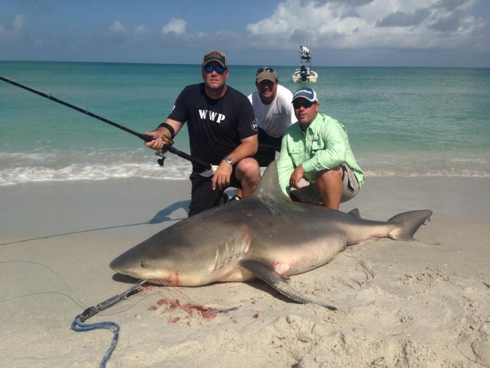 Florida shark fishing