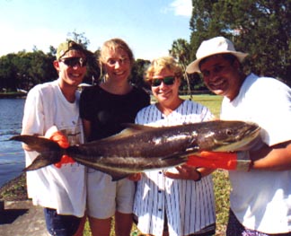 COBIA