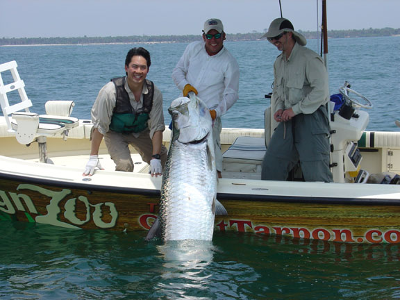 Florida Fishing Charters, Tarpon Fishing Charters