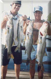 snook fishing florida