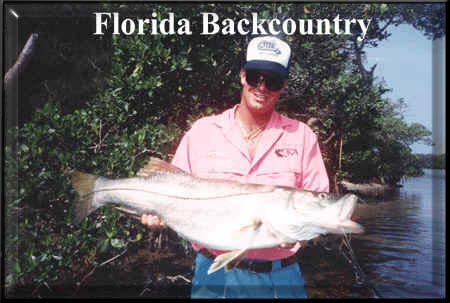 Florida fishing charter charters tarpon snook redfish trout Tampa Bay St. Petersburg Clearwater Boca Grande Orlando Disneyworld fly flyfishing saltwater flats light tackle