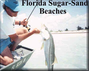 Florida fishing tarpon snook redfish trout Tampa Bay St. Petersburg Clearwater Boca Grande Orlando Disneyworld saltwater flats fly flyfishing fly-fishing light tackle