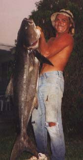 cobia.jpg (10513 bytes)