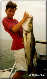 snook fishing florida