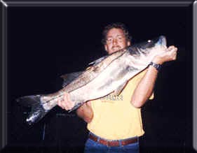 snook fishing florida