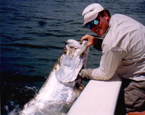 Florida Tarpon Fishing