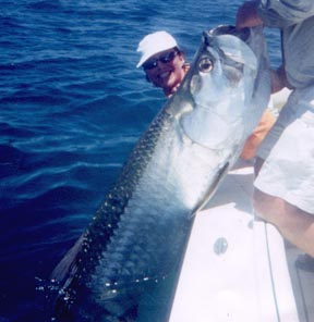 Florida Tarpon Fishing