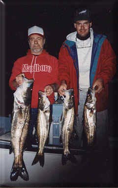 snook fishing florida