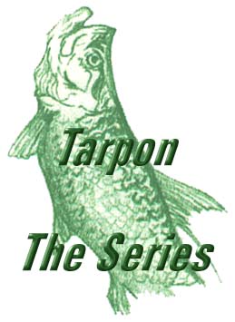 Florida fishing guide / charters on the saltwater flats and backcountry of Tampa , Tampa Bay, Clearwater, St. Petersburg, Orlando and Disney area. Light tackle and fly fishing for tarpon, ssnook, redfish and trout. Sport fishing charters Florida.