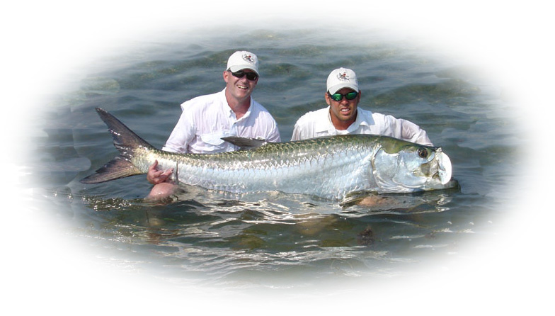 tarpon fishing Florida