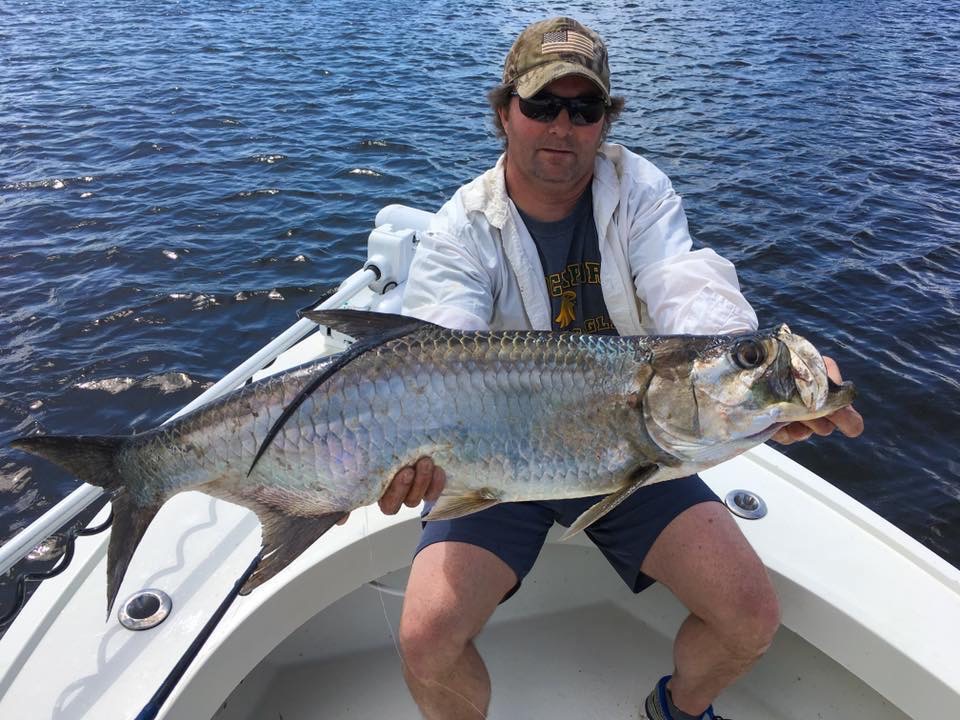 winter juvenile tarpon Florida